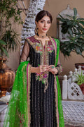 P-232 - KHUDA BAKSH CREATIONS