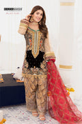 Z-219 (Crinkle Chiffon) - KHUDA BAKSH CREATIONS